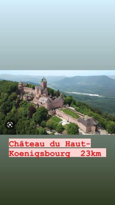 La Grange Proche D'Europapark Kunheim Exterior foto