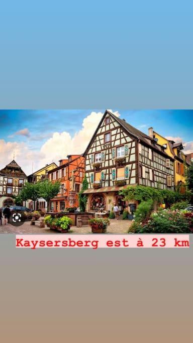 La Grange Proche D'Europapark Kunheim Exterior foto