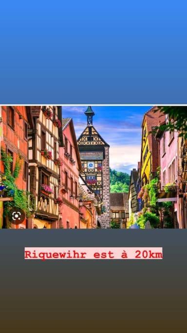La Grange Proche D'Europapark Kunheim Exterior foto