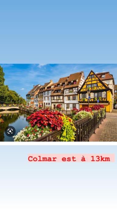 La Grange Proche D'Europapark Kunheim Exterior foto